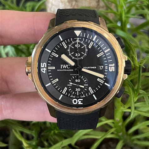 charles darwin iwc|iwc aquatimer.